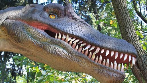 DinoZatorland w Zatorze