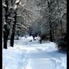 Zima w parku Sieleckim, Vincci