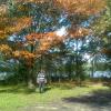 , marian