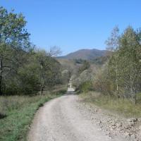 , Krzysztof