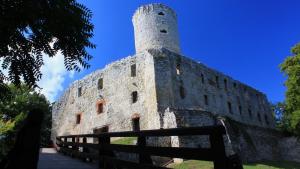 Zamek Lipowiec w Babicach - zdjęcie