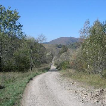 , Krzysztof