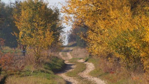 Mirowski Gościniec, Tadeusz Walkowicz