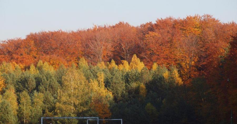 Jesień w Złotym Potoku - trasa 673a - zdjęcie