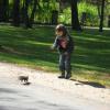 Dużo radości spacerowiczom, szczególnie dzieciom, dostarczają czarne wiewiórki. , Danuta