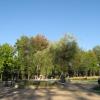 Na skraju parku znajduje się fontanna zwana przez rabczan nerką., Danuta