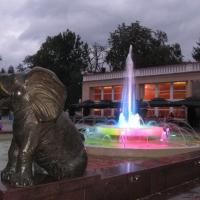 Kolorowa fontanna Rabka, Danuta