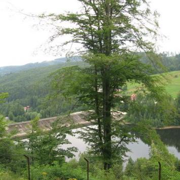 , Danuta