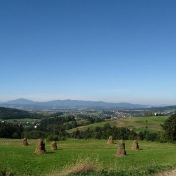 Maciejowa, Danuta