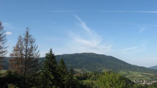 , Danuta