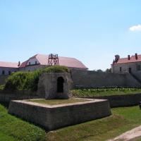 Zbaraż-zamek, Henryka Darnia