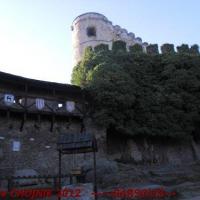 , Barsolis Karol Turysta Kulturowy