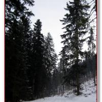 , Jerzy Jan