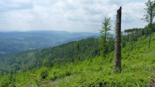 Widok na Wisłę, Krzysztof Ch.