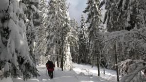 Wyciągi narciarskie w Gorcach - zdjęcie
