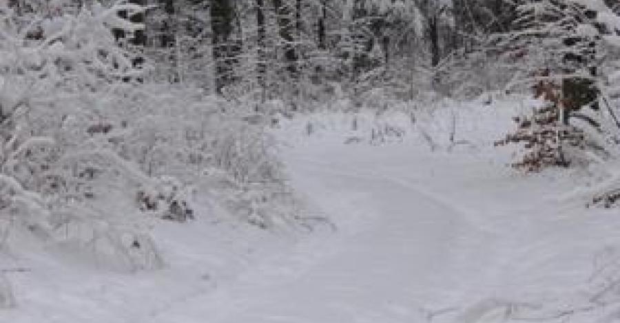Zimowy wypad na Jurę –Smoleń - zdjęcie