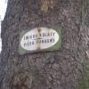 tabliczki z opisami drzew w parku, Danuta