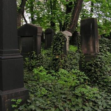 Cmentarz Żydowski w Mikołowie - zdjęcie