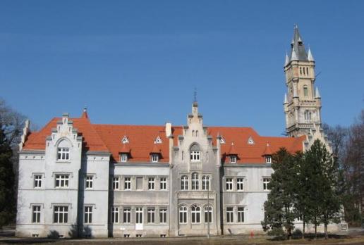 Nakło Śląskie- pałac, Danuta