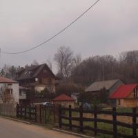 Podlesice, Tadeusz Walkowicz