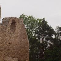 Ruiny, Tadeusz Walkowicz