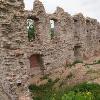 Ruiny , Tadeusz Walkowicz
