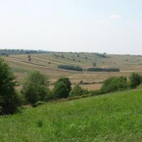 wspaniały punkt widokowy, z którego roztacza się rozległa panorama na południową część Parku, Danuta