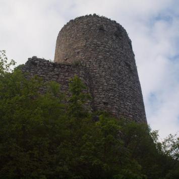 Ruiny zamku Smoleń, Tadeusz Walkowicz