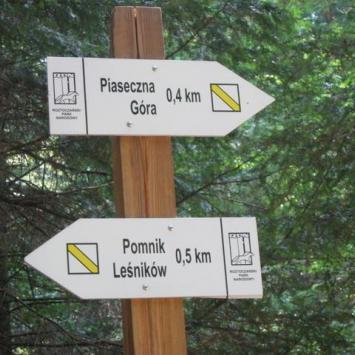 skręcamy w szlak żółty- tym razem na Piaseczną Górę, Danuta
