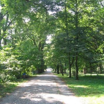 Zwierzyniec- park, Danuta