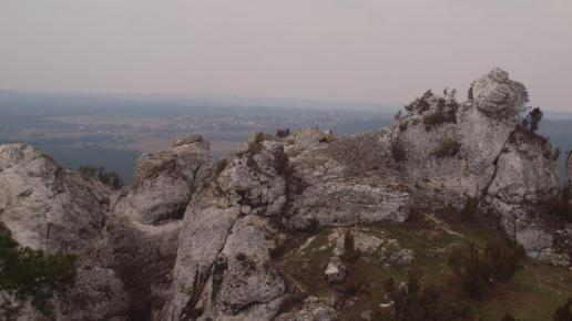 Góra Zborów, Tadeusz Walkowicz