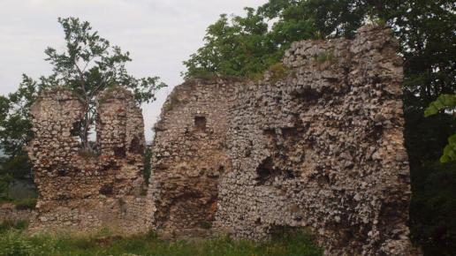 Ruiny zamku Smoleń, Tadeusz Walkowicz