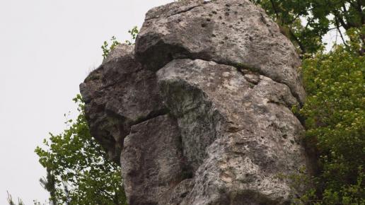 Widok ruin z dołu, Tadeusz Walkowicz