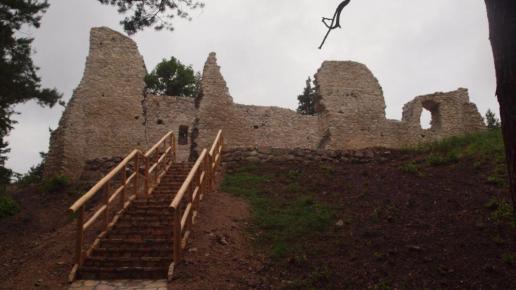 Ruiny zamku - kościoła w Bydlinie, Tadeusz Walkowicz