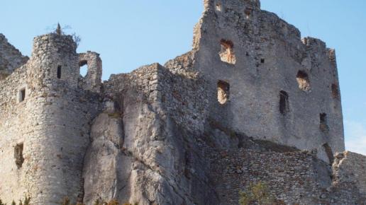 Ruiny zamku w Mirowie, Tadeusz Walkowicz