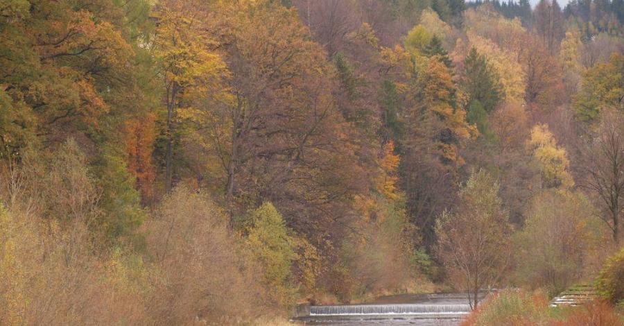 Listopad w Beskidzie Śląskim - Wisła - trasa 675 - zdjęcie