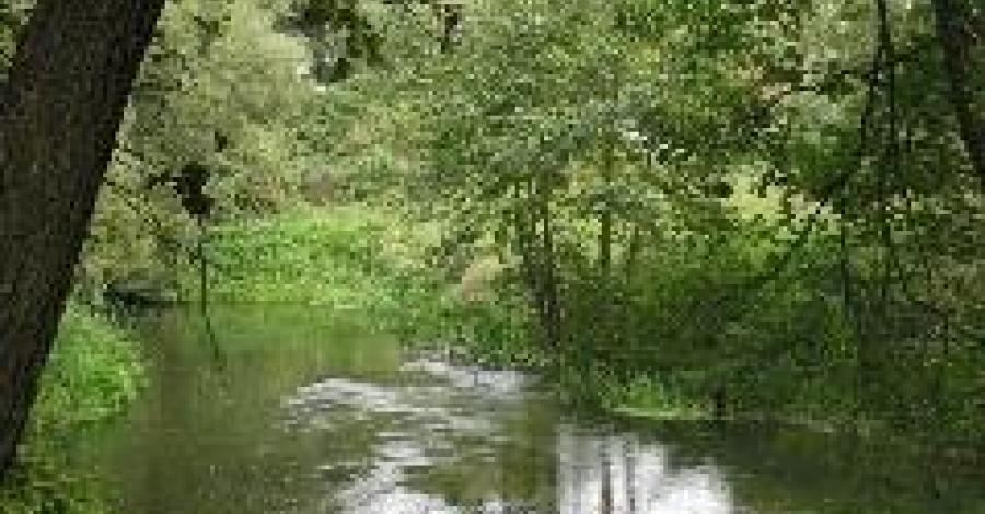 Spływ kajakowy rzeką Wel - zdjęcie