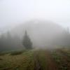 widok na górę Magura i słabo widoczne we mgle schronisko, Roman Świątkowski
