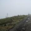zniszczony las na szczycie Magura i mgła, Roman Świątkowski