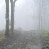 po drodze na szczyt Hyrca i widoczna mgła, Roman Świątkowski