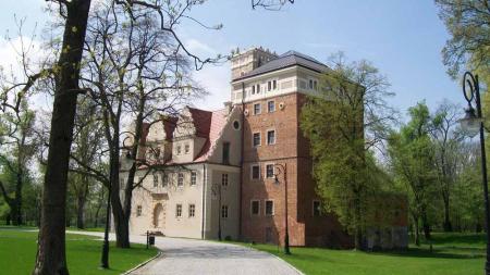 Zamek Topacz - zdjęcie
