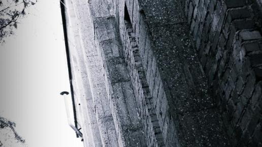 , Dominik Dobros