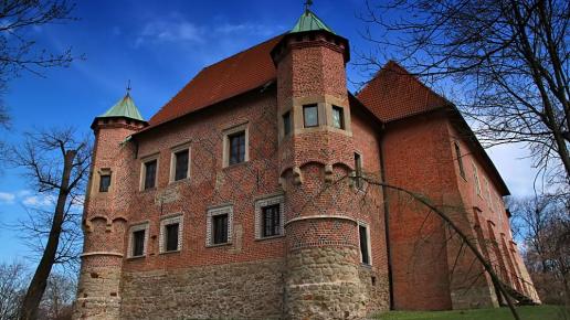 Zamek w Dębnie
