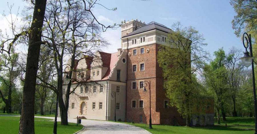 Zamek Topacz - zdjęcie