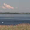 Jezioro Łuknajno, Nnn