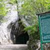 Jaskinia Nietoperzowa w Jerzmanowicach