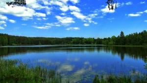 Jezioro Bieszkowickie - zdjęcie