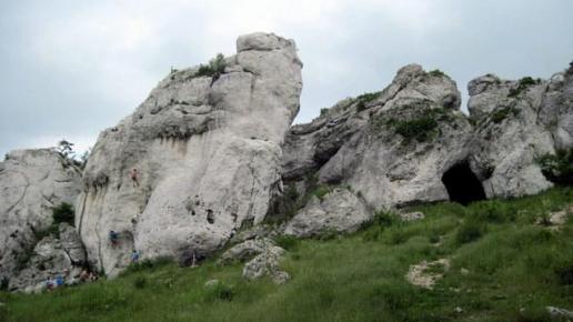 , Roman Świątkowski