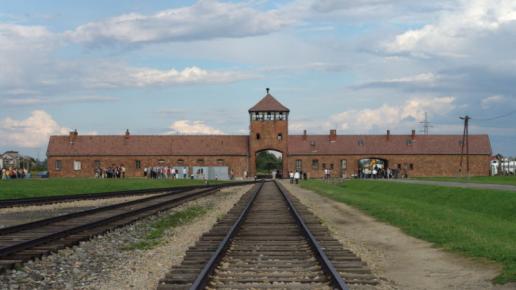 Muzeum Auschwitz_ Birkenau w Oświęcimiu, Mateusz Komosa