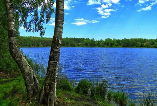 Jezioro bieszkowickie, toja1358